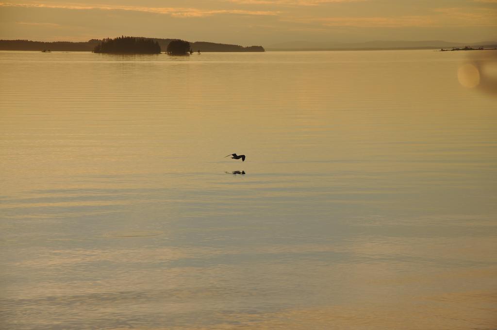 Moose Garden Orrviken Quarto foto