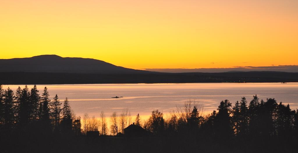Moose Garden Orrviken Quarto foto