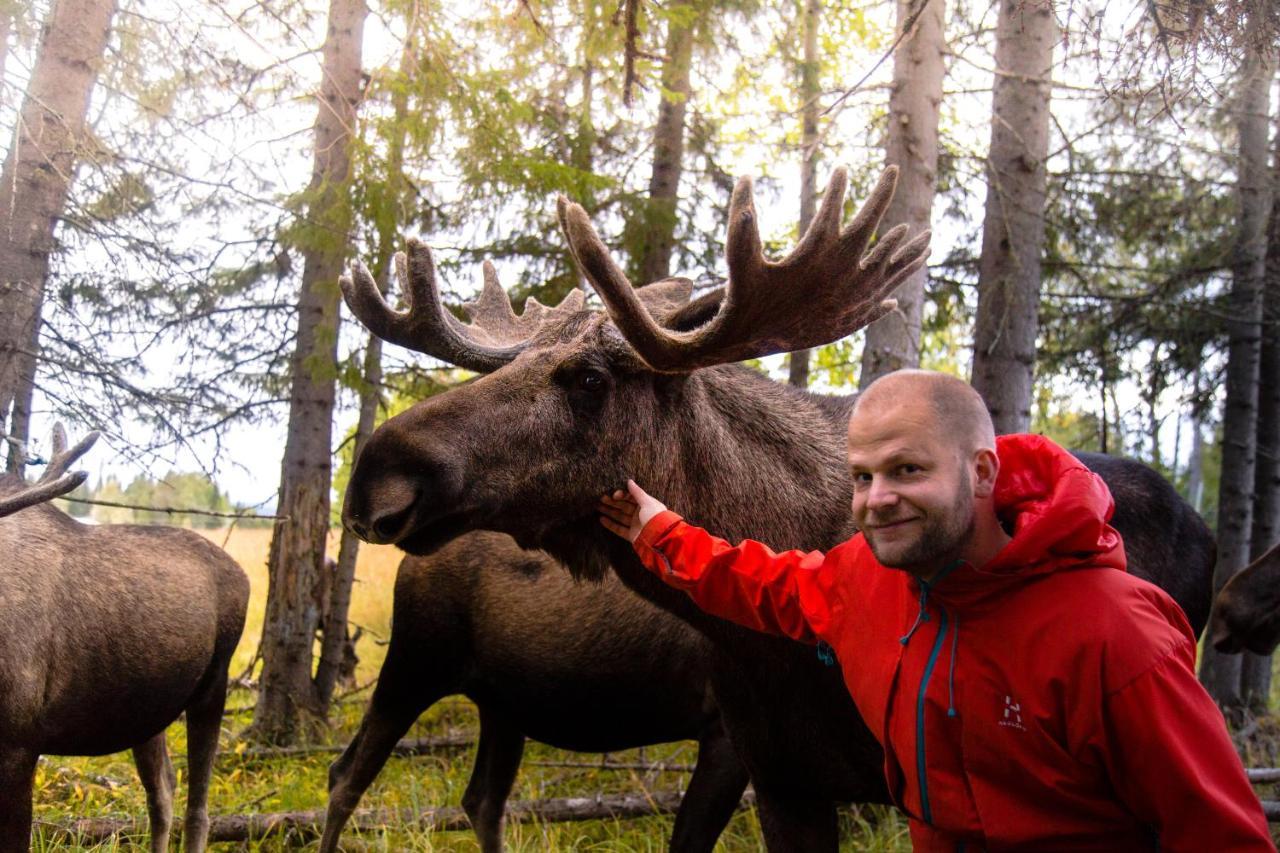 Moose Garden Orrviken Exterior foto