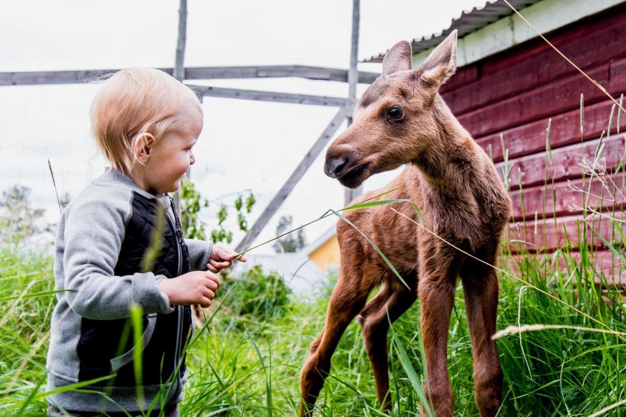 Moose Garden Orrviken Exterior foto